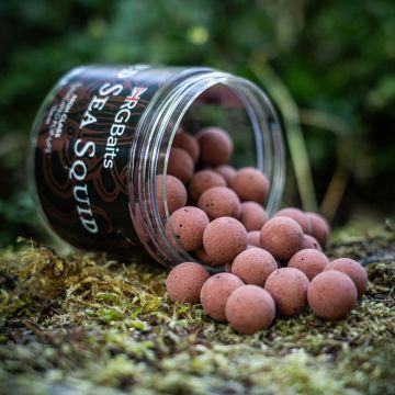RG Baits Red Sea Squid Pop-Ups & Booster | 12mm