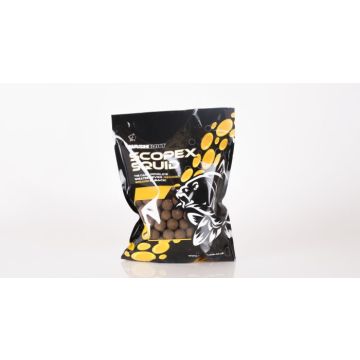 Nash Scopex Squid Frozen Boilies
