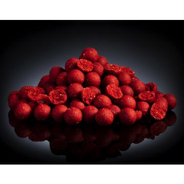 Trent Baits SAS Squid Stabilised Boilies 5kg