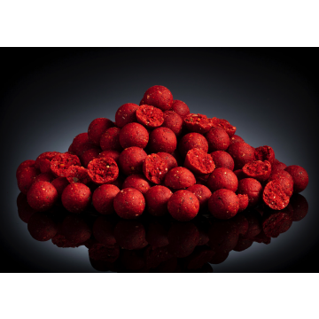 Trent Baits SAS Squid Stabilised Boilies 16mm - 3kg