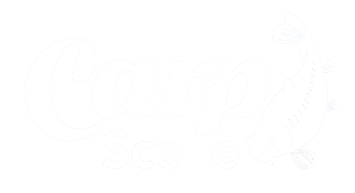 Carp Scene