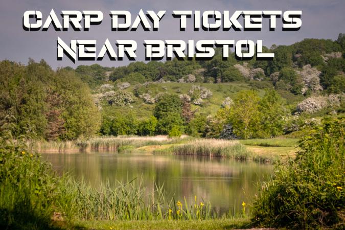 Day Ticket Carp Fishing Venues Near Bristol